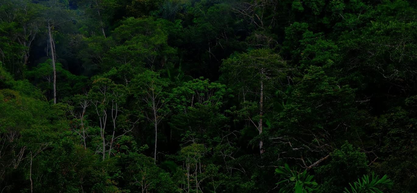Beautiful Sri Lankan landscape