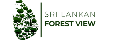 forest, nature, save forests, sri lanka, Sri Lanka, tourism, travel
